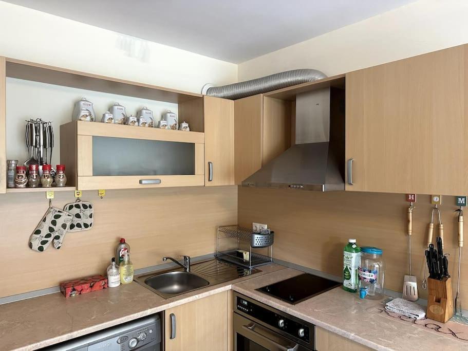 Spacious Fully Furnished Studio In Kavarna Apart Hotel Bagian luar foto