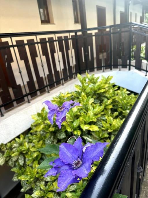 Spacious Fully Furnished Studio In Kavarna Apart Hotel Bagian luar foto